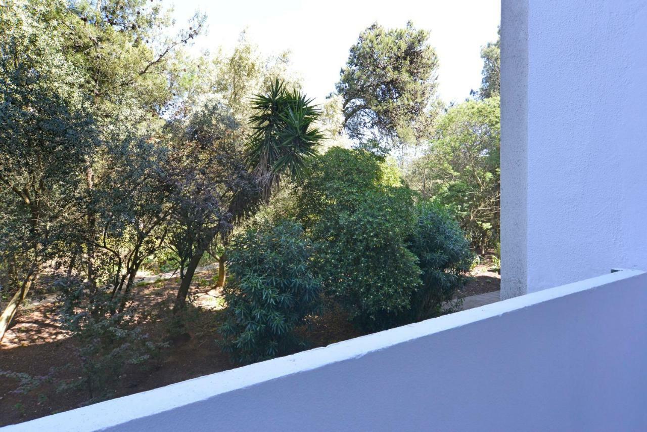Tropical View Cascais - Checkinhome Экстерьер фото